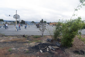 Students at Brookfield Elementary School play basketball near a vegetation barrier installed at the school to try to reduce pollution at the school, which is located right next to I-880 in East Oakland.