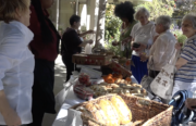 Piedmont Gardens is a senior living and retirement community in Oakland. In the spring of 2017, staff members introduced a honeybee sanctuary to the community’s outdoor rooftop garden.