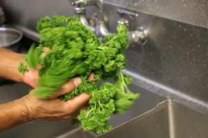 Roberto calls parsley “medicine” and recommends eating it every day. He also believes in the healing properties of people gathering. “When we drink tea, share our opinion, that makes life easy more than medicine,” he says.