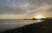 McLaughlin Eastshore State Park runs from Richmond to Oakland and is prone to flooding.
