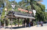 The 15th Annual Healthy Living Festival was held at Oakland Zoo on September 13.
