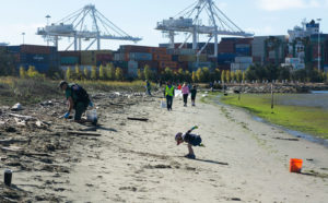 Roughly 20,000 pounds of trash cleaned from Oakland on Creek to Bay Day ...