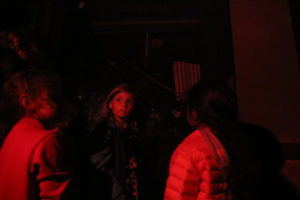Bats are sensitive to light, so zoo staff made sure all the kids turned off their flashlights before approaching them.
