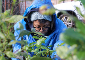 It was Yvette Weathersby’s first day at GROW. She works for Ross Stores, the department store chain. As part of its corporate social responsibility team, she was testing out GROW to see if more Ross employees could volunteer there.