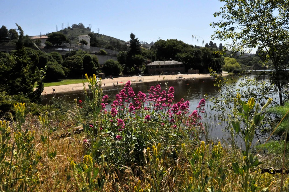 Temescal Regional Park Remains An Urban Oasis For Oaklanders Oakland