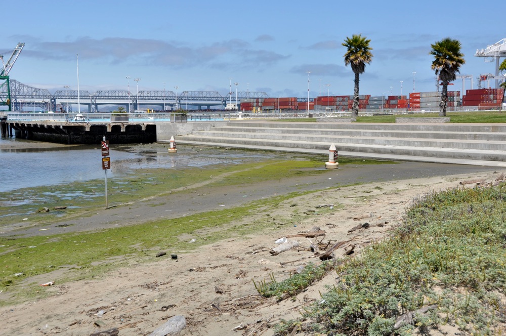 Nature meets industry at Middle Harbor Shoreline Park - Oakland North