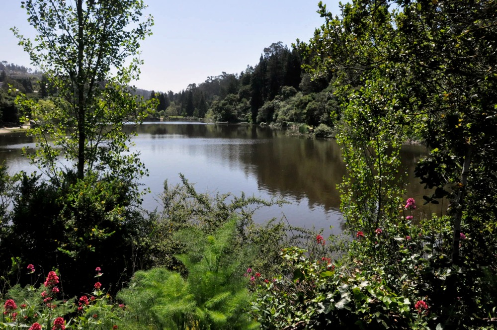 Temescal Regional Park Remains An Urban Oasis For Oaklanders Oakland