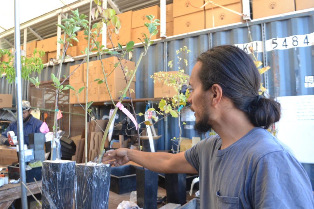 Planting Justice celebrates 10 years of cultivating