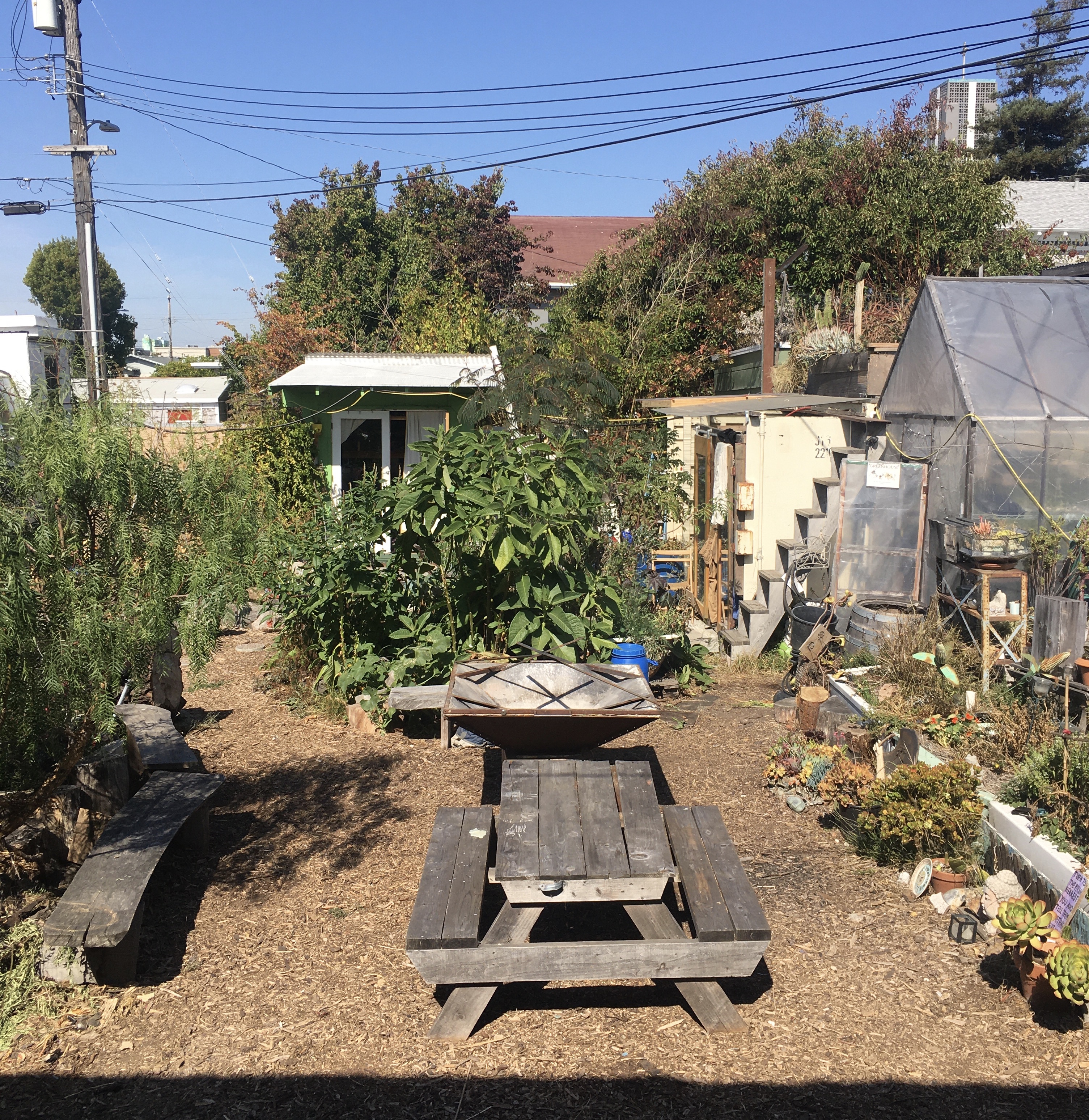 Homesteading organization shows Oaklanders the rewards of
