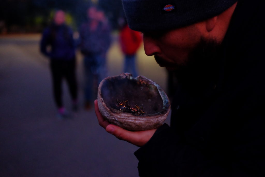 Mushroom foraging 'a spiritual journey with nature' Oakland North