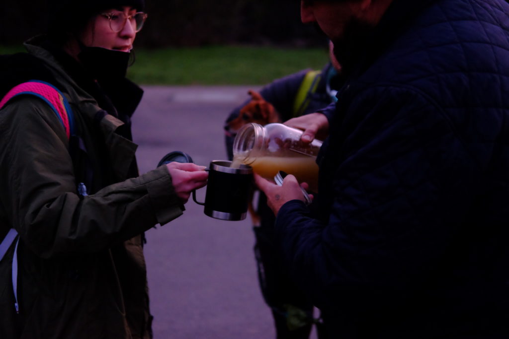 Mushroom foraging
