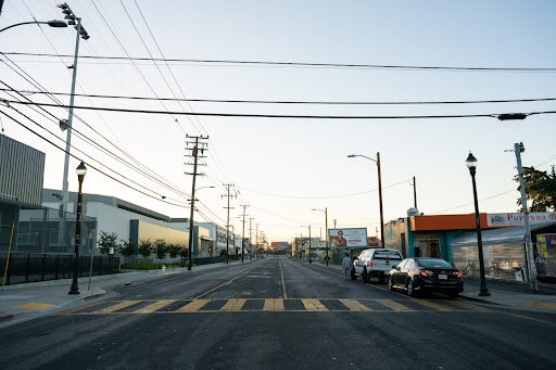 Oakland trees