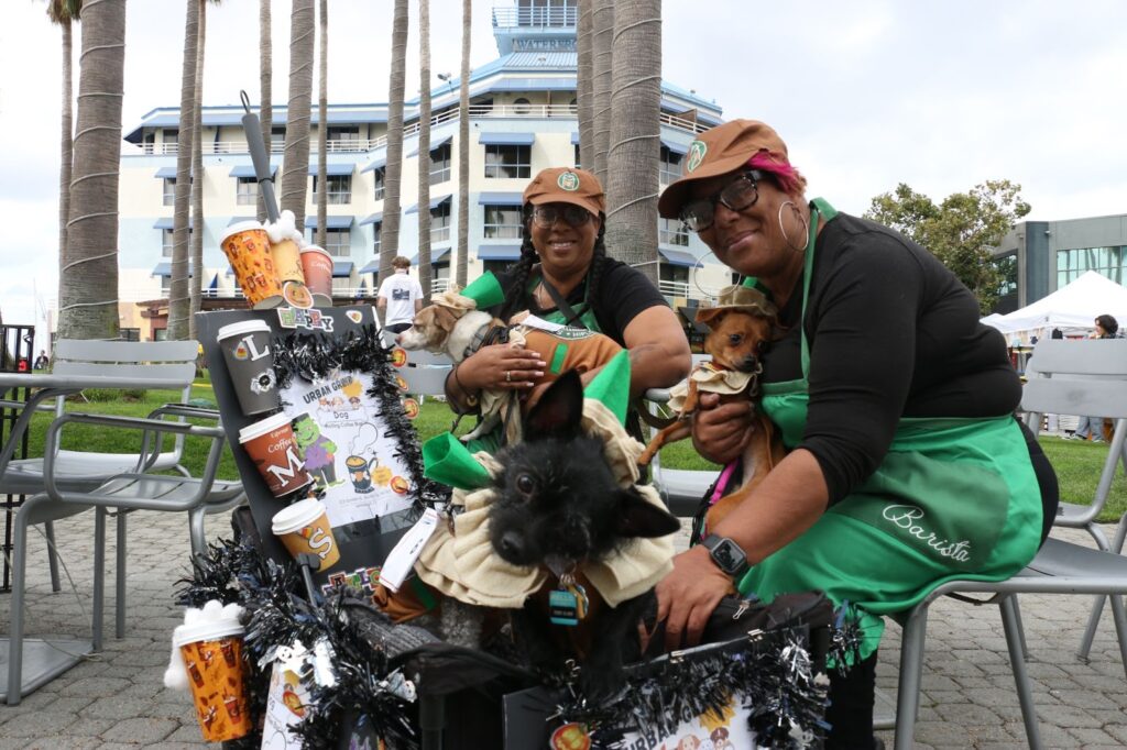 No tricks but lots of treats at DogFest Bay Area Oakland North