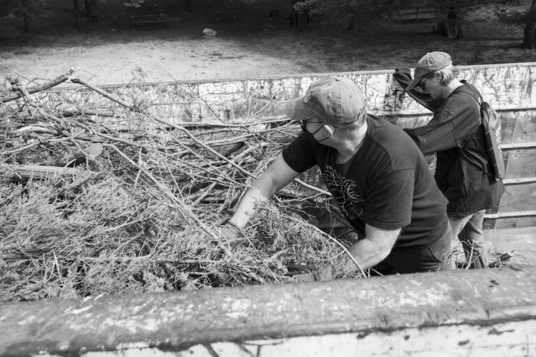 A man and woman are piling brush in a cart. In this black and white photo, a pile of brush in a cart is on the left, with a man's hands in it, his face turned to the right .He is masked, with a black T-shirt, glasses and cap. To his right is a woman, her face downward as she works in a black jacket and baseball cap.