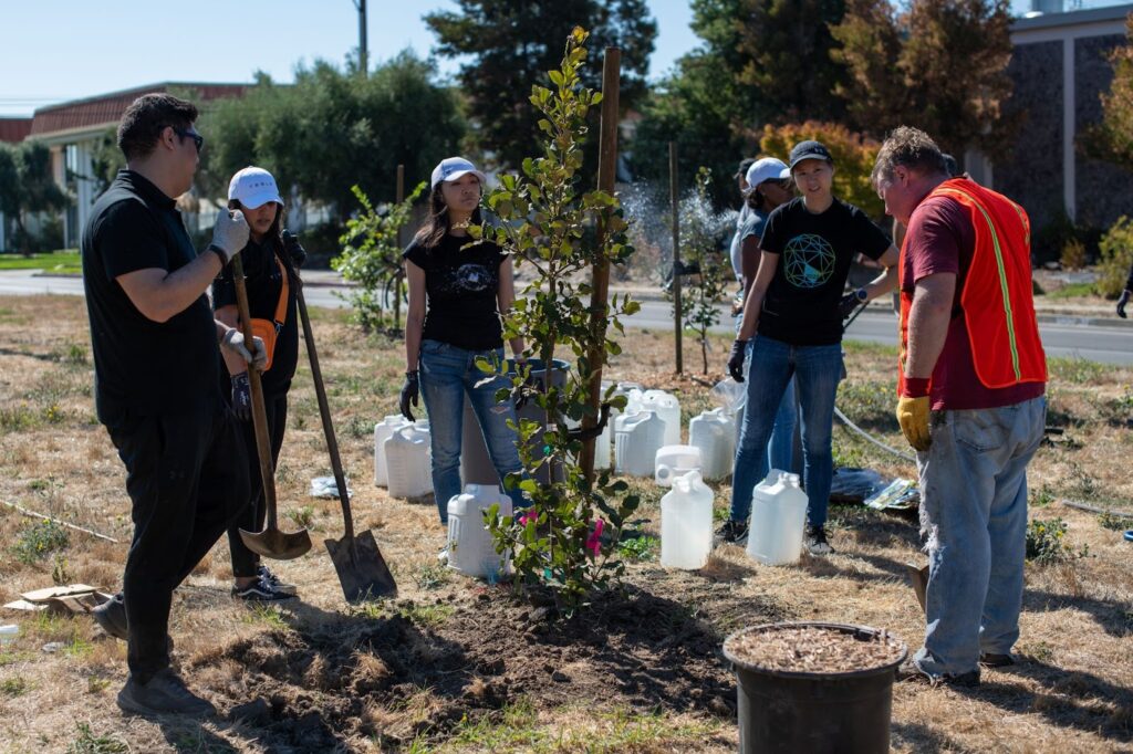 Six people in caps, jeans and garden gloves, lean on shovels or stand talking in a field around a newly planted. sapling and about 10 large jugs of water.