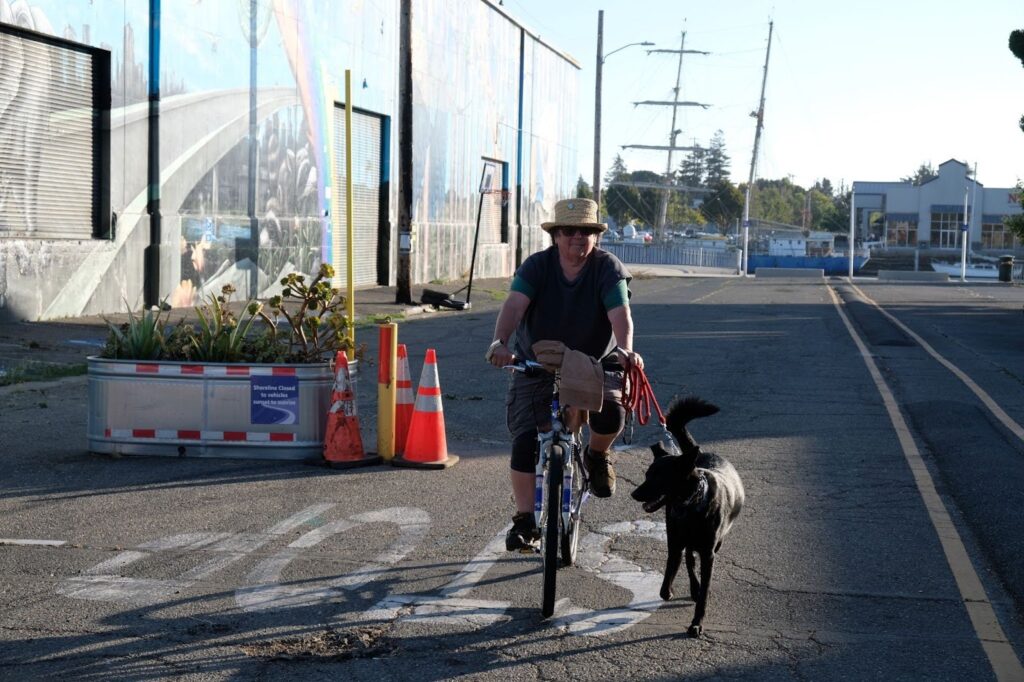 Cynthia is riding a bike with a black dog to her side on a leash. She is wearing a green shirt and grey shirt with grey shorts and a beige straw hat.