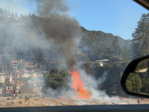 bright orange flames cascade down a hillside to the right of a residential street.