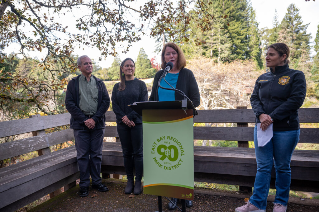 Four people stand in a rustic setting amid a grove of trees by a wooden bench, a woman among them is speaking at a podium.
