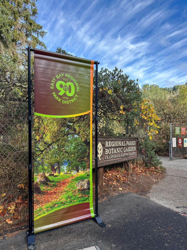 A sign shows East Bay Regional Parks District and Regional Parks Botanic Garden on a fence beyond which there is a lot of green and yellow foiliage.