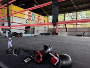 A boxing ring with red ropes takes up most of the frame. Behind it is a wall of square-paned windows. In front are boxing gloves and a water bottle.